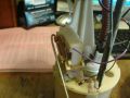 DSC00306_4.JPG